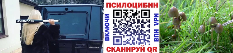 гидра ссылка  Зверево  Псилоцибиновые грибы мухоморы  цены наркотик 