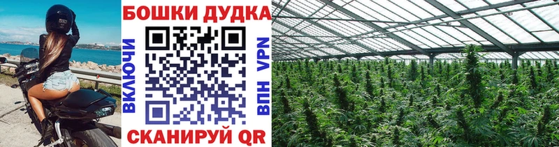 где купить наркотик  Зверево  Канабис марихуана 